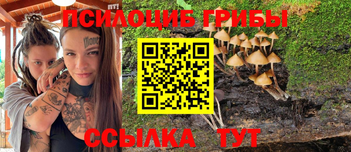 Грозный  Галлюциногенные грибы ЛСД  Вход с VPN  Галлюциногенные грибы MAGIC MUSHROOMS 